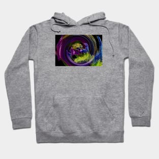 The Bee / Swiss Artwork Photography Hoodie